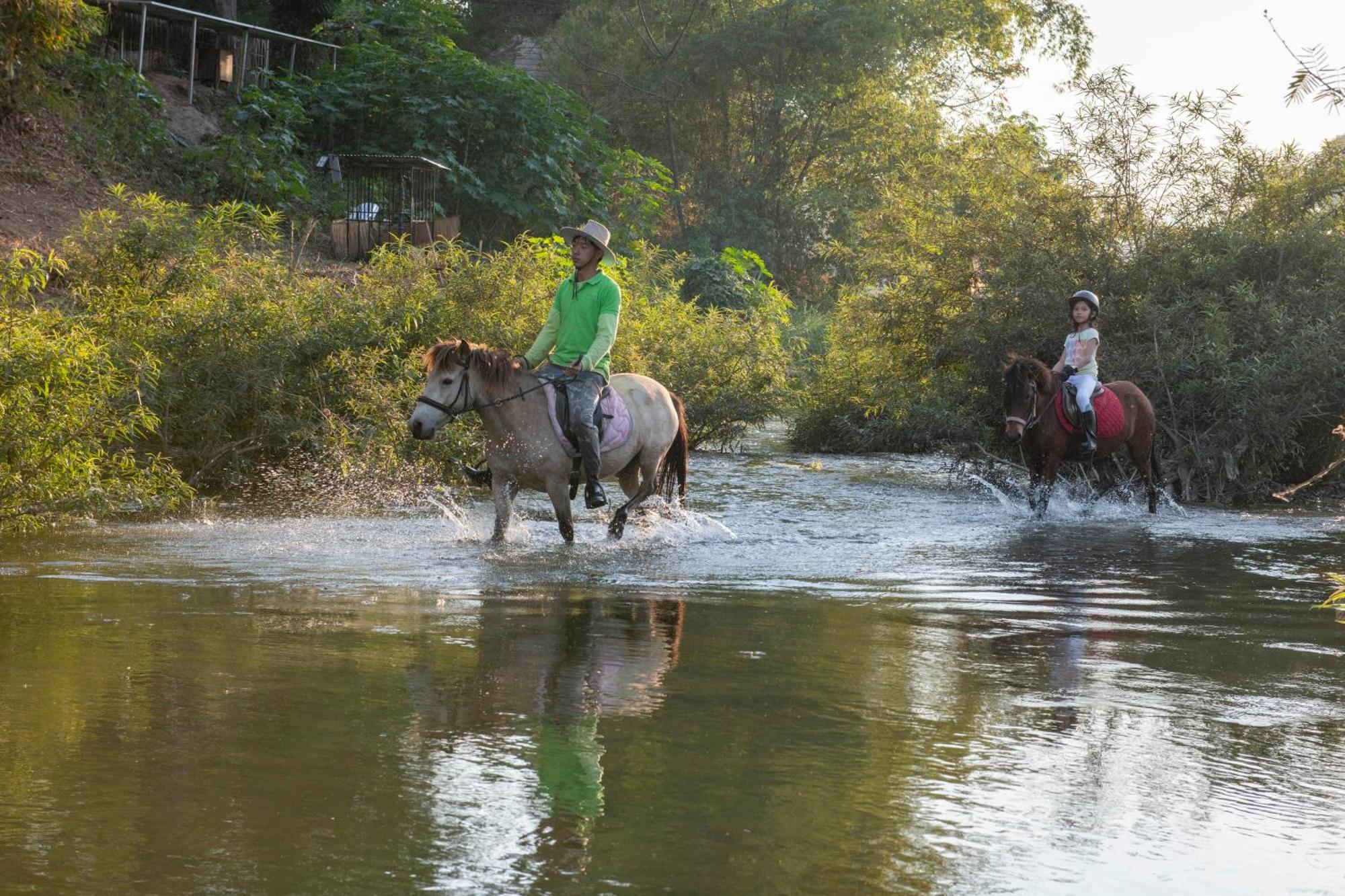 Namkhan Horses Stables Luang Prabang Eksteriør bilde