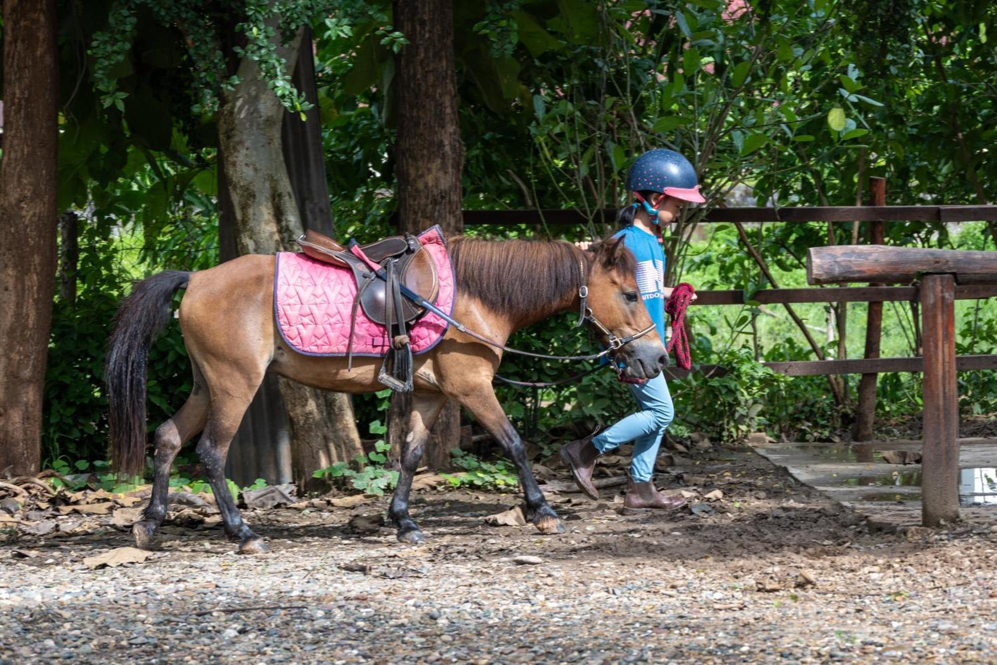 Namkhan Horses Stables Luang Prabang Eksteriør bilde