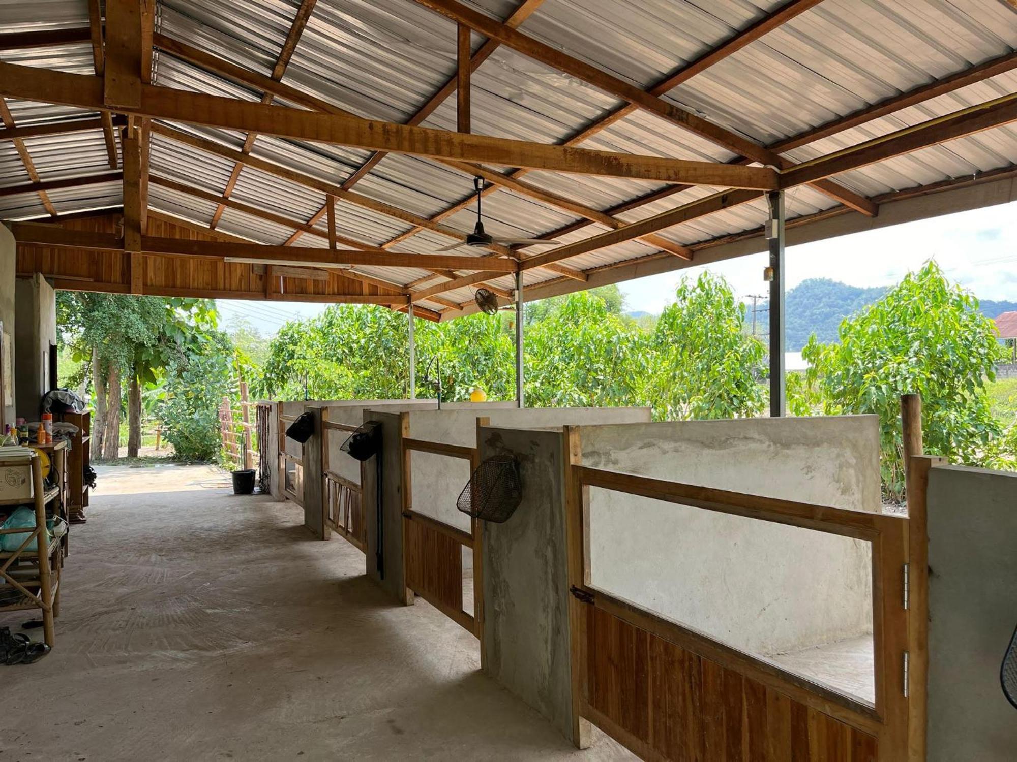 Namkhan Horses Stables Luang Prabang Eksteriør bilde